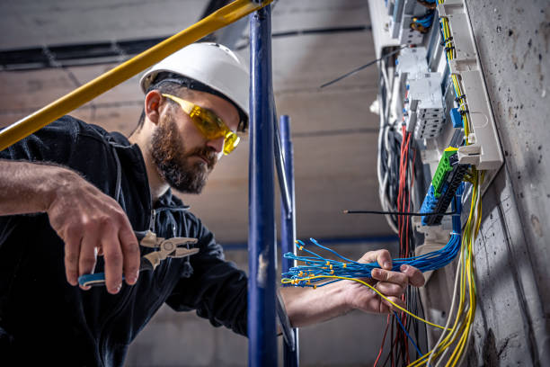 Best Licensed Electrician  in Wmington, IL