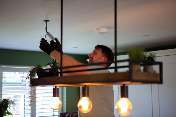 Best 24-Hour Electrician  in Wmington, IL